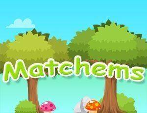 Pattern Pair Tile Puzzle