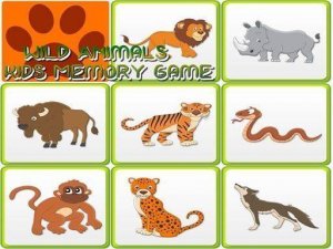 Creature Card Recall