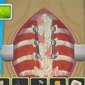 Spine Correction Puzzle Simulation
