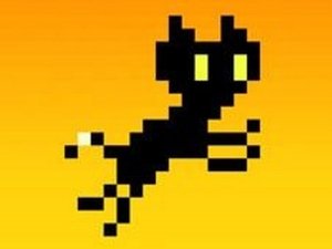 Whisker Wanderer: A Feline Adventure