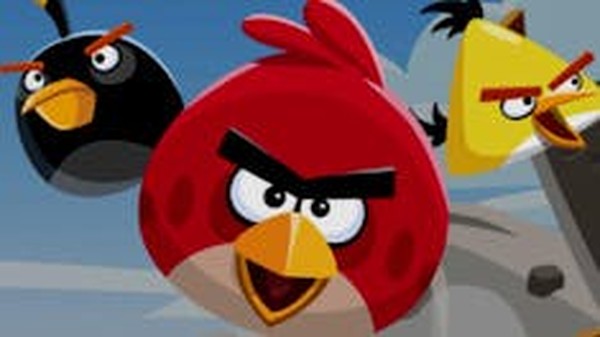 Feathered Friends Puzzle Challenge