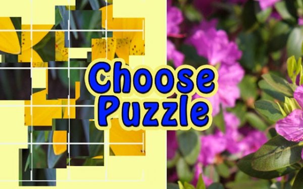 Choose Puzzle: Brain Teaser Games Online