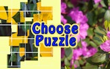 Choose Puzzle: Brain Teaser Games