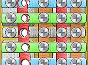 Screw Escape Puzzle Game