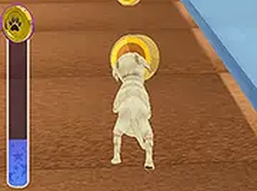 Pet Run Adventure Puppy Run Online Game