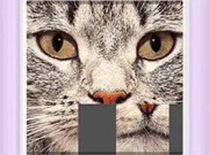 Picture Slider Animals Online Puzzle Game