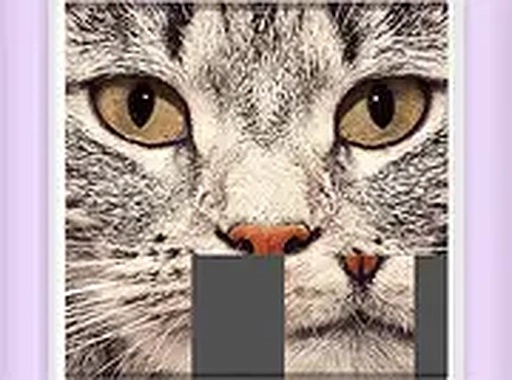 Picture Slider Animals Online Puzzle Game