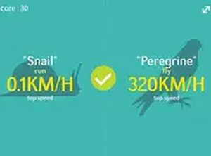 Speed Comparison Trivia Game