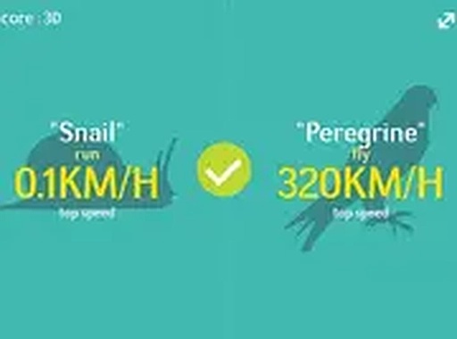 Faster Or Slower Online Guessing Game