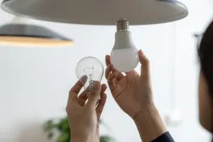 Energy Expert: Switching to LED Bulbs Can Slash Winter Electricity Costs
