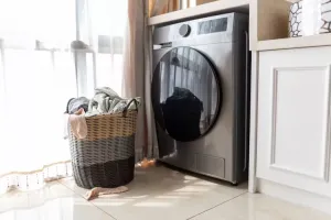 Silence That Squeak: Common Dryer Noises and DIY Fixes